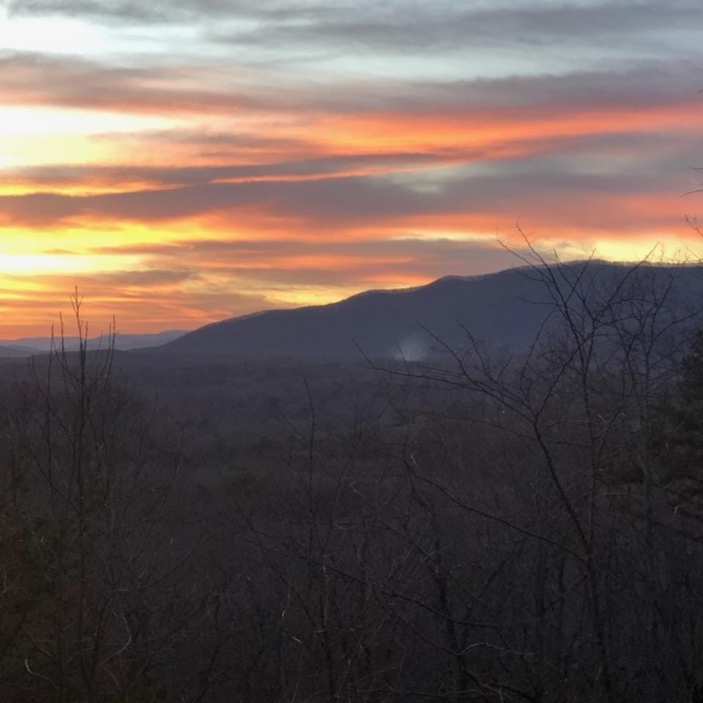 Meet your Posher, Mandi